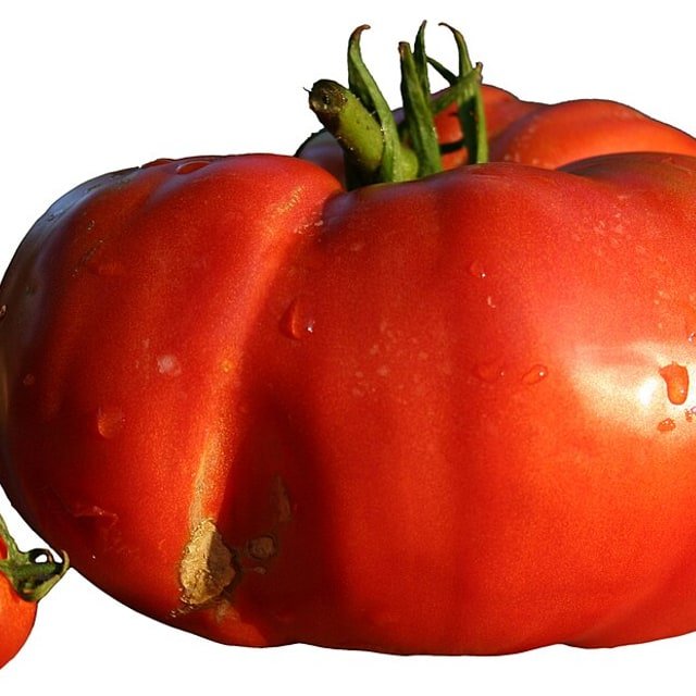 Beefsteak Tomato
