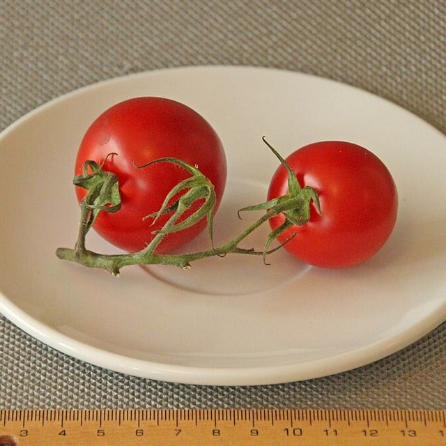 Campari Tomato