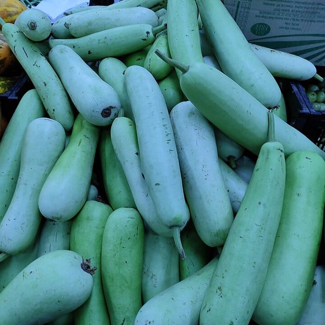 Bottle Gourd
