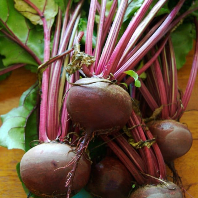Swiss Chard Rainbow